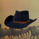 Texana Nuevo Mexico