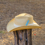 Sombrero Howea
