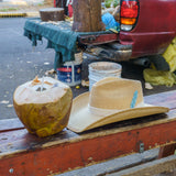 Sombrero Howea