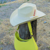 Sombrero Howea