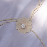 Lazo Lily