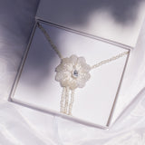 Lazo Lily