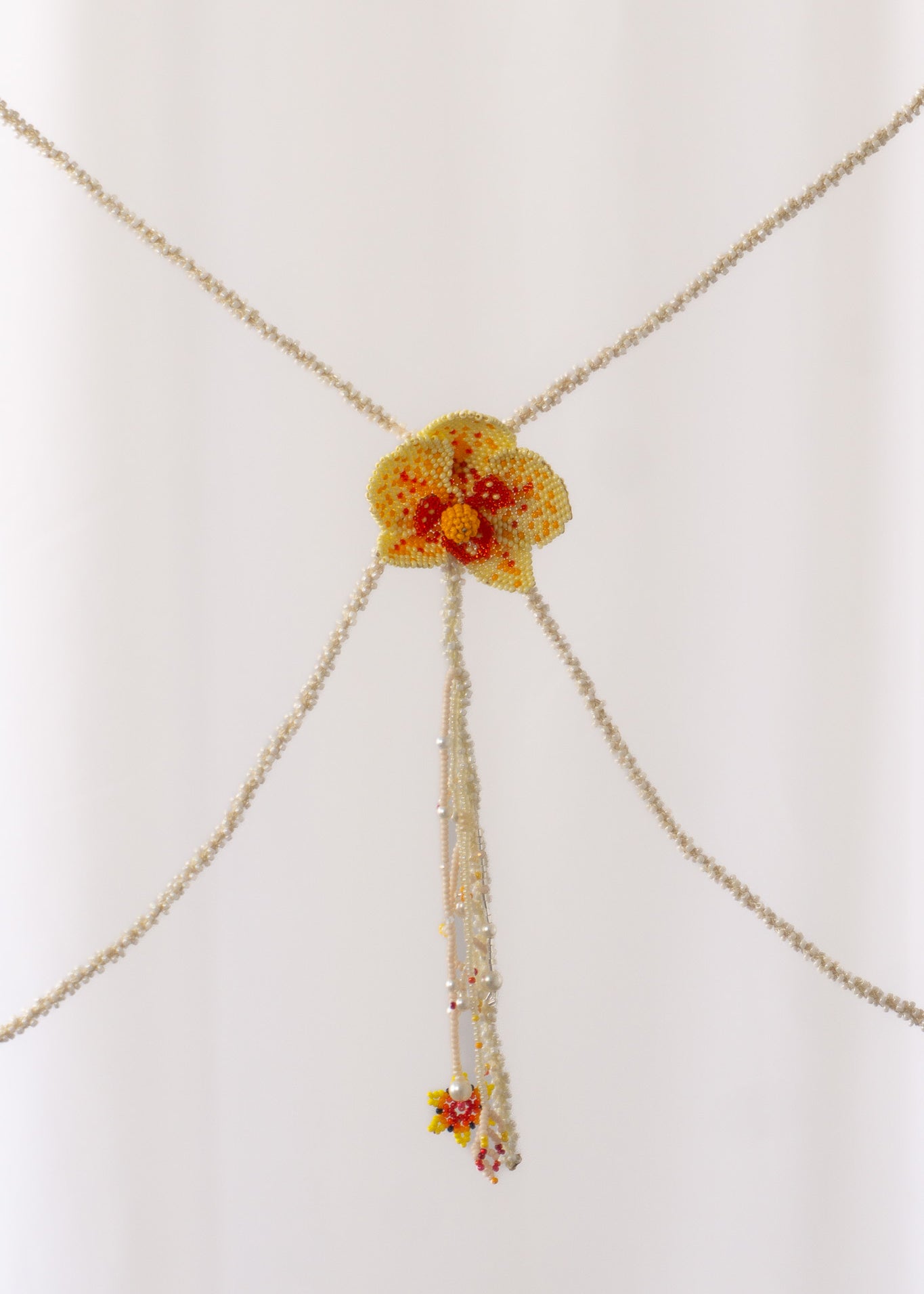 Orchid Lasso