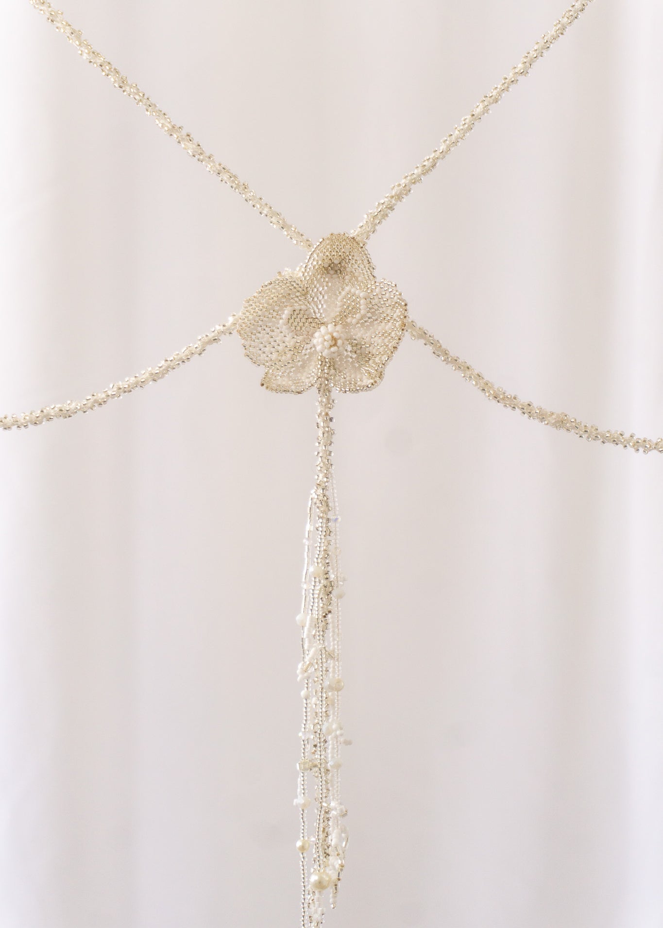 Orchid Lasso