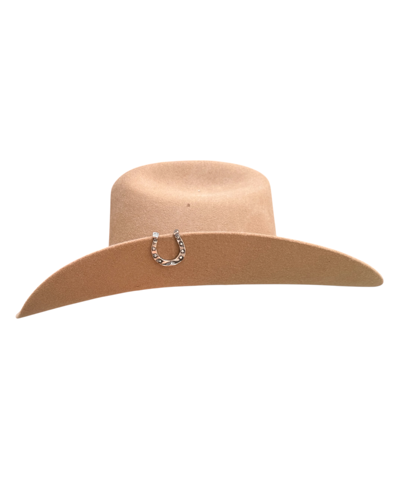 Horseshoe Brim Biter