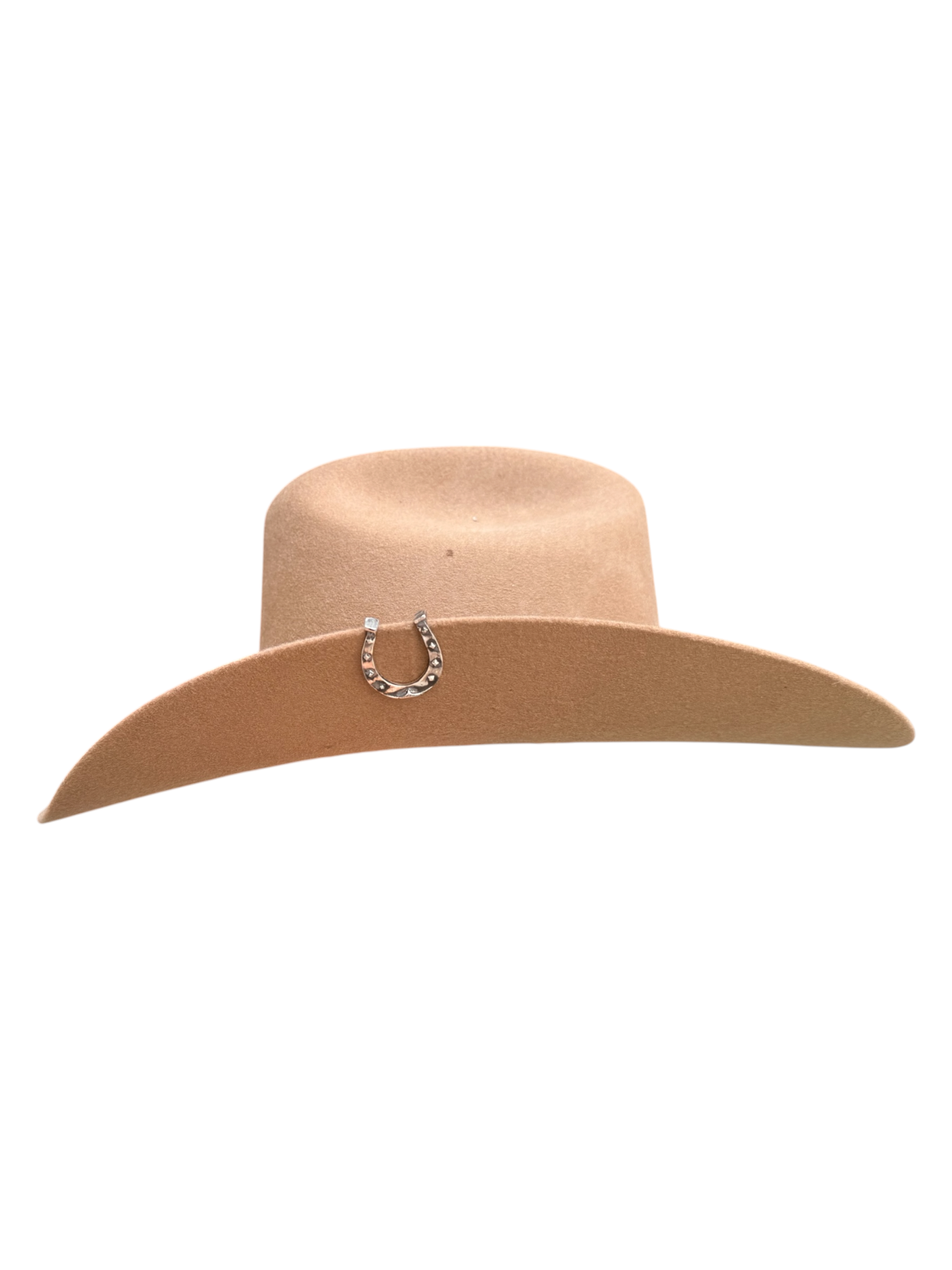 Horseshoe Token - Hat Pin