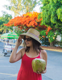 Sombrero Kentia