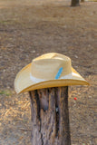 Sombrero Howea