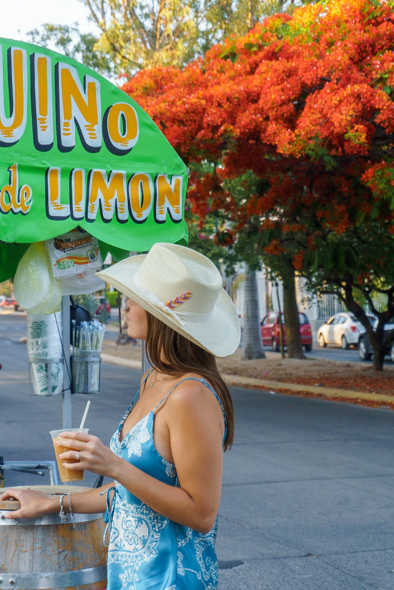 Sombrero Howea