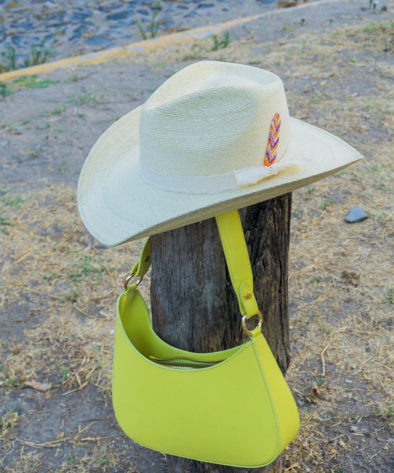 Sombrero Howea