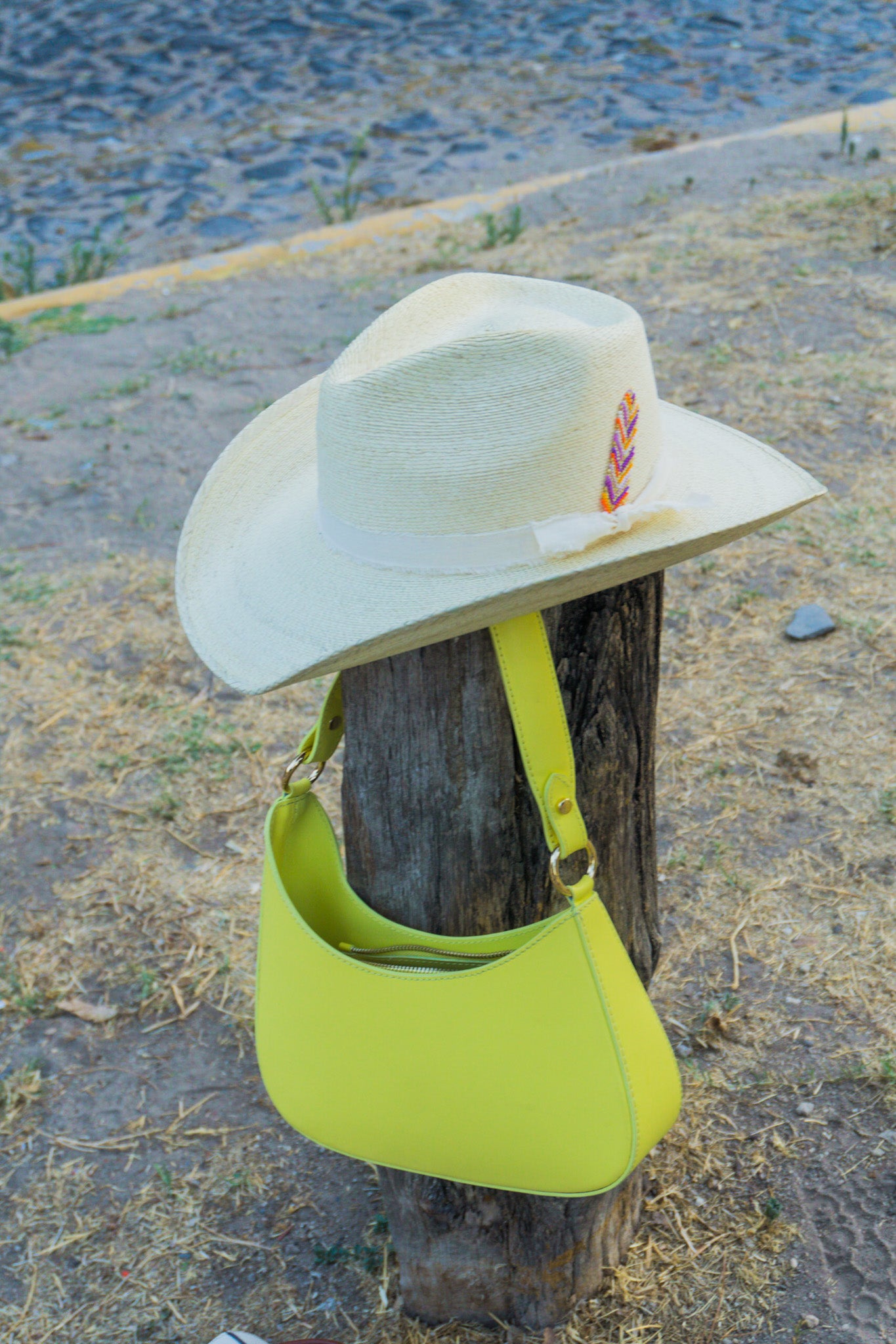 Sombrero Howea