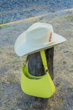 Sombrero Howea