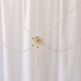 Lazo Daisy