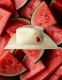 WATERMELON SUGAR