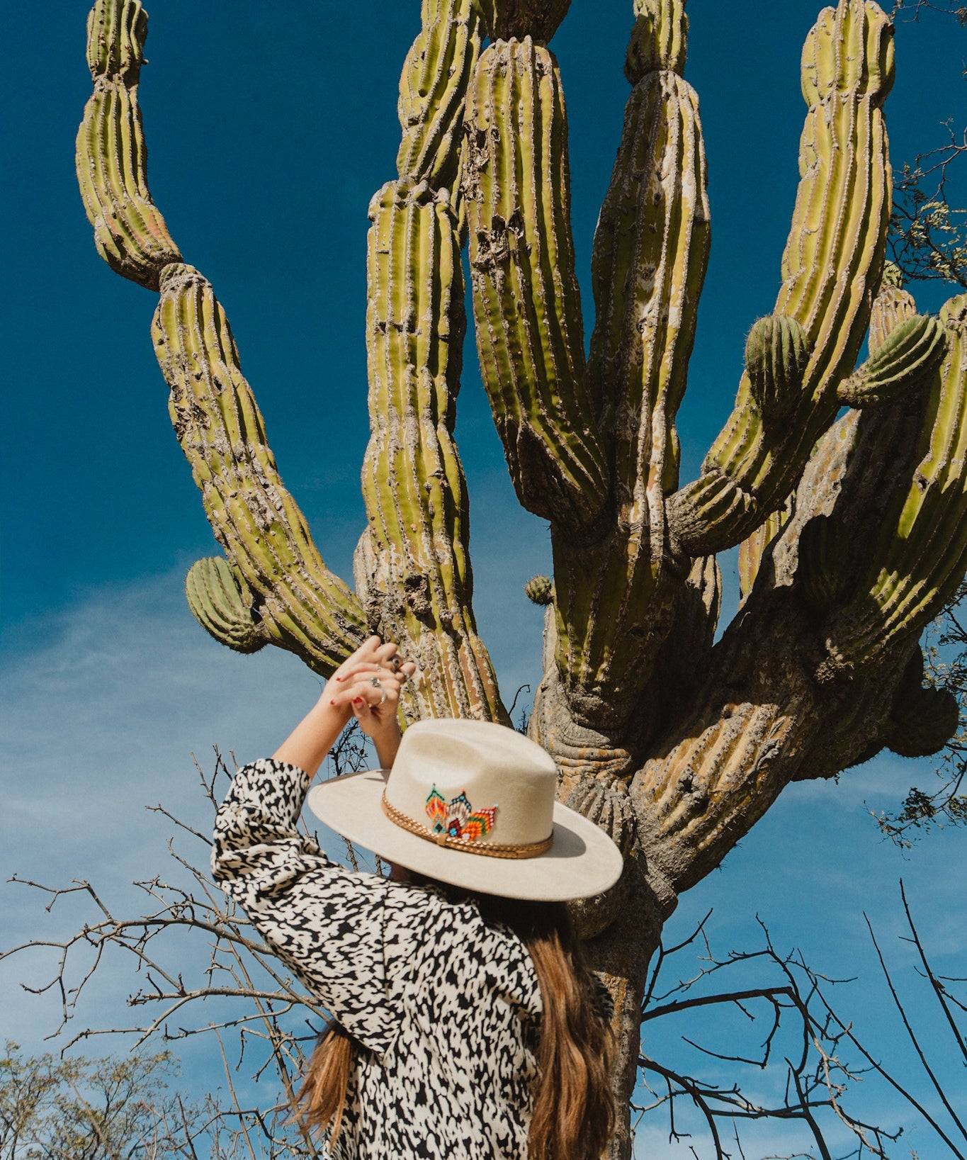 Sombrero Cosalá